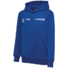 Hoodie (Kids)